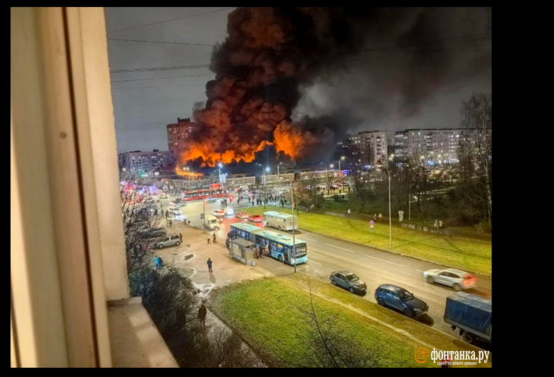    Фото: скриншот издания "Фонтанка"