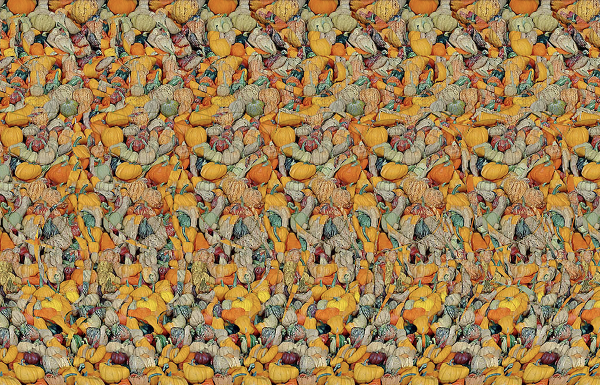 Объёмная стереокартинка, в которой спрятан персонаж и предметы, связанные с подарками и фермерской тематикой.