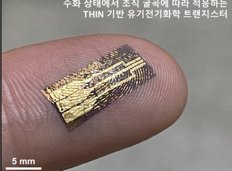 Деформируемый ультратонкий двухслойный транзистор [Предоставлено IBS]