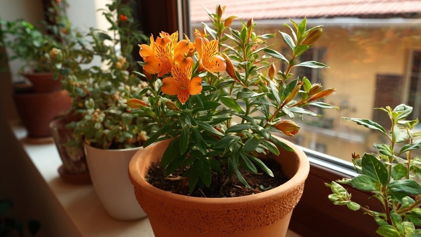   Сгенерировано с помощью ИИ