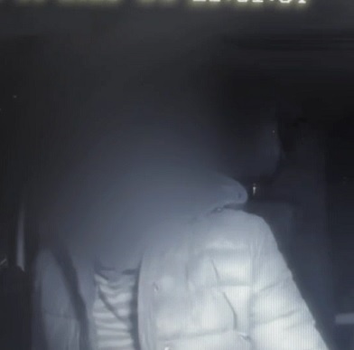     Фото: принтскрин с видео