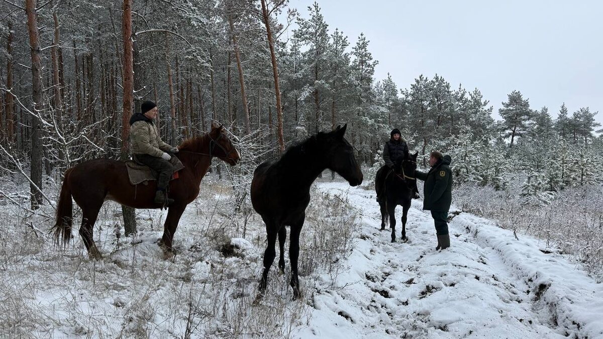    Конная инспекция на страже курских лесов
