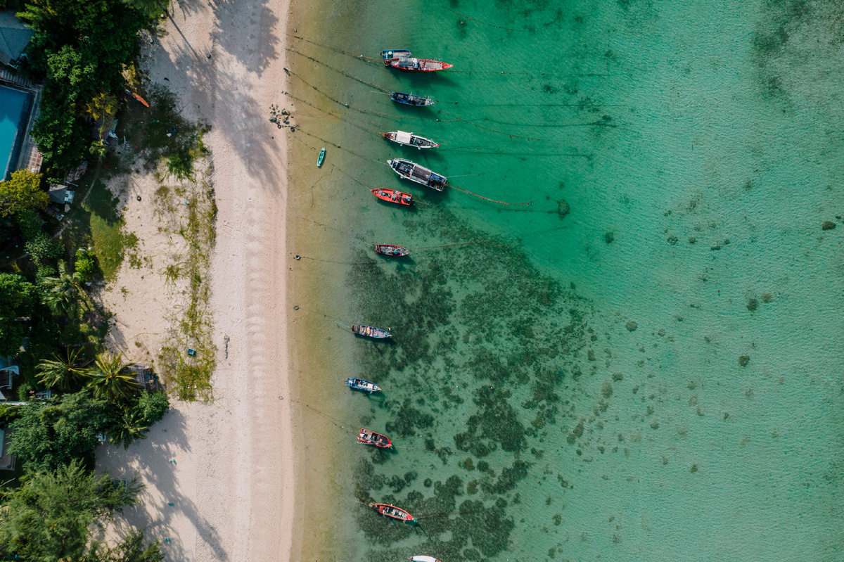 Photo by Antonio Araujo on Unsplash