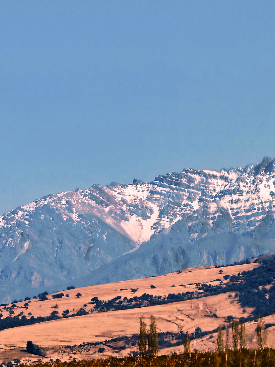 Фото из личного архива