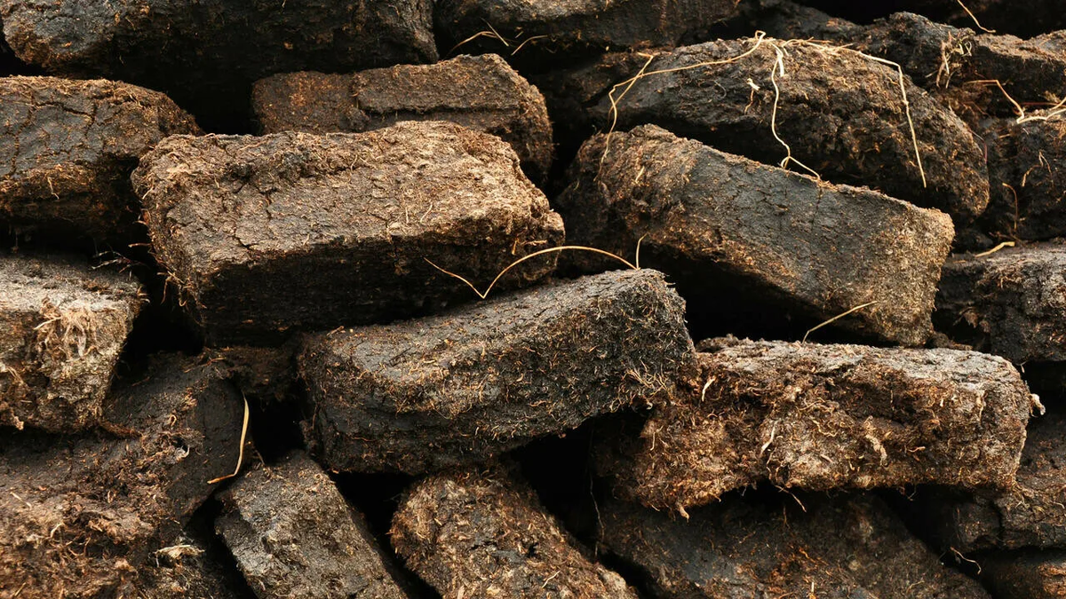 Боровки торфа