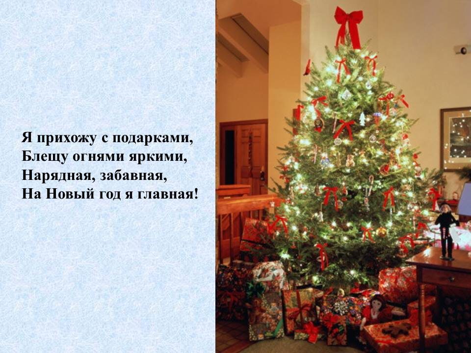 Все фото взяты из открытых источников сети интернет