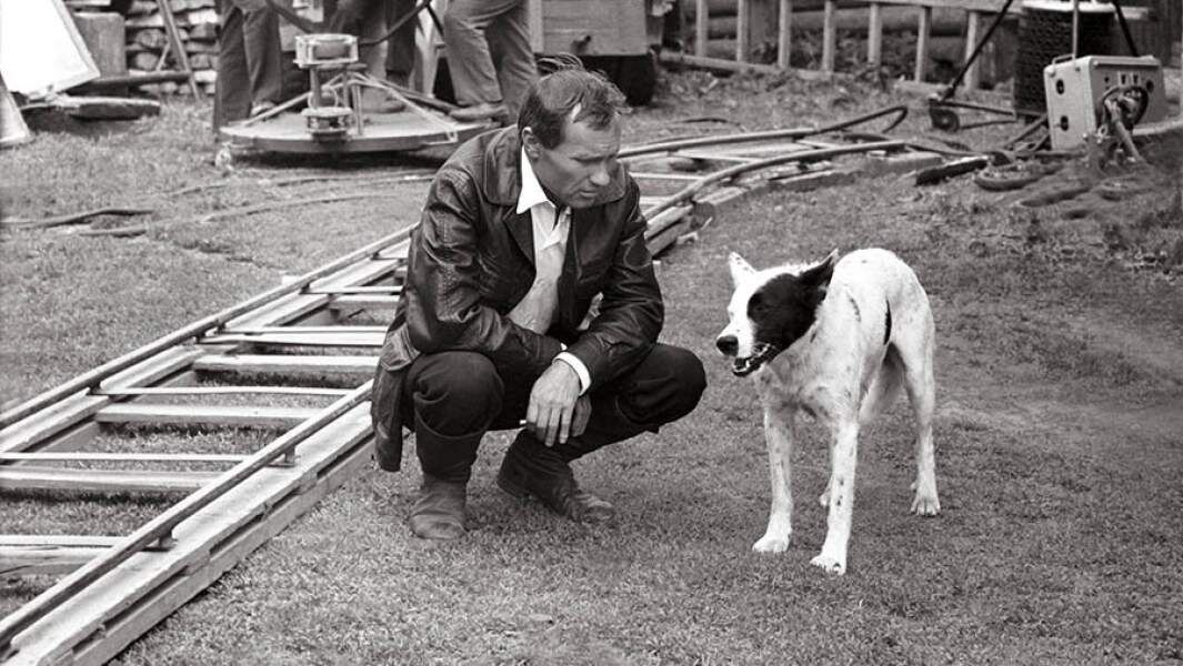 Шукшин на съемках с неизвестной собакой. Кадр взят из интернета. Судя по кожаному пиджаку, снимается "Калина красная".