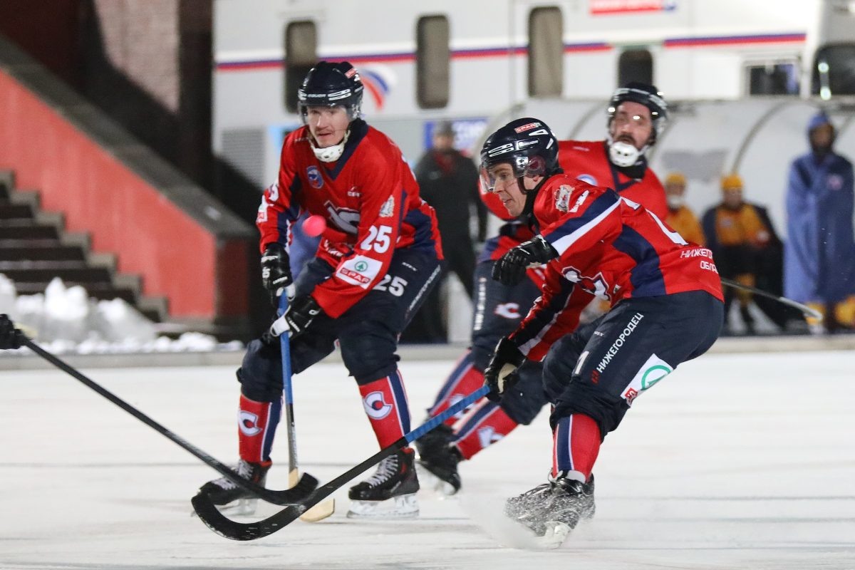    Хоккеисты \