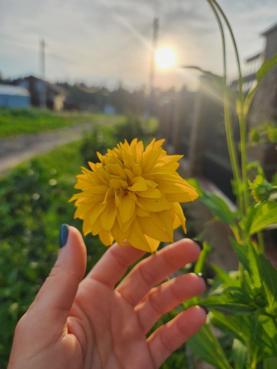 Простые действия, которые делают нас спокойнее и счастливее — без марафонов и надрыва.