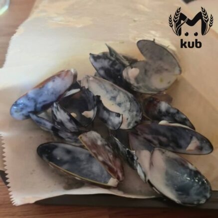    Фото: t.me/kub_mash