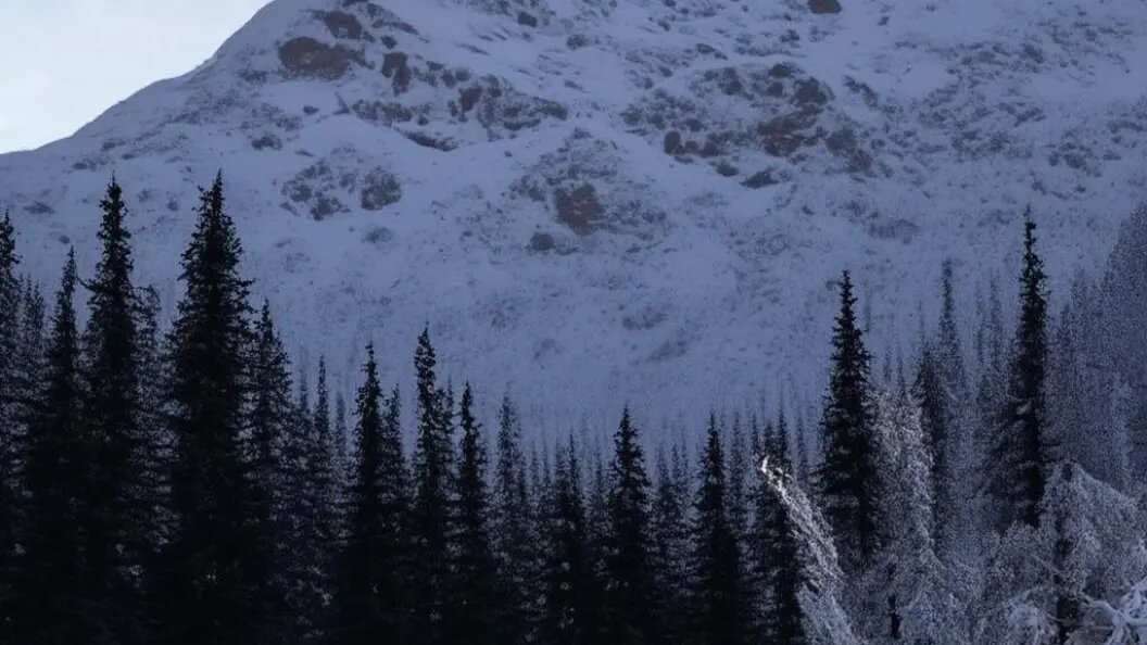    Коллаж Царьграда