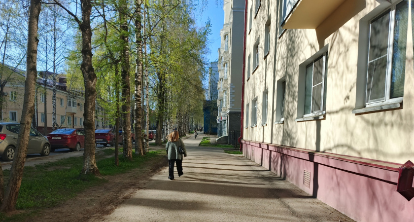    Фото irkutsk.news