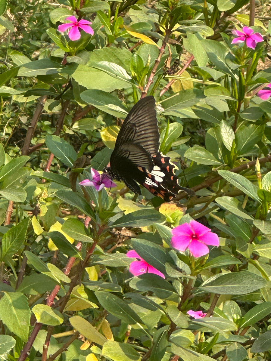 Она же в другом ракурсе