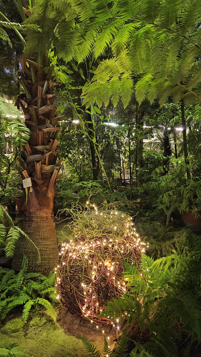 Оранжерея субтропического маршрута (фотография автора)