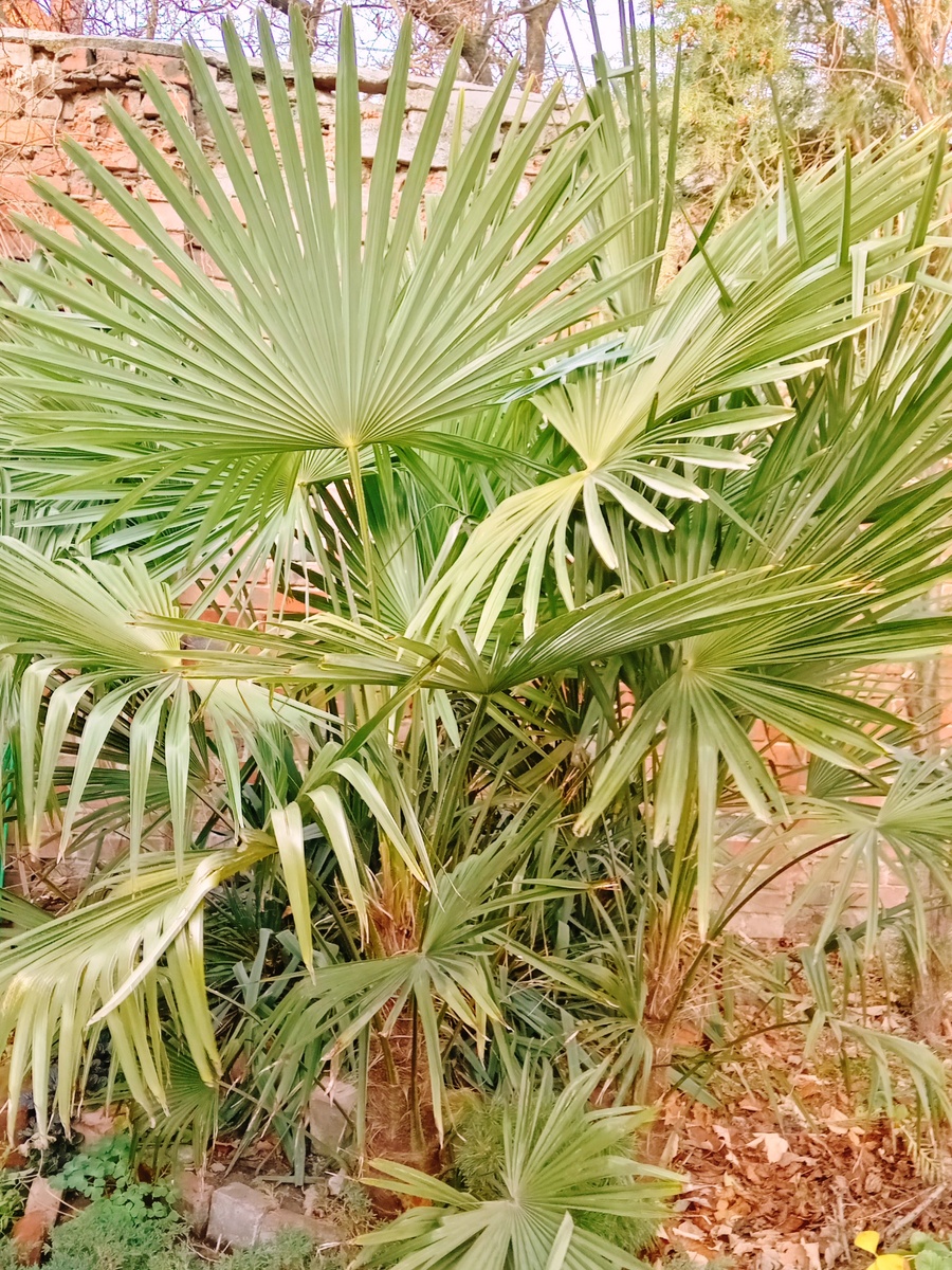 Фото мое, 07.12.25