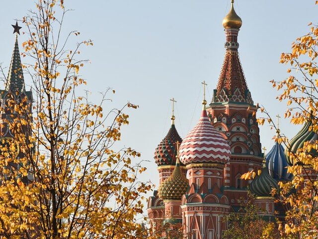    Фото: Москва 24/Никита Симонов