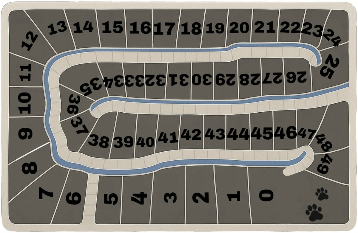 поле подсчета очков