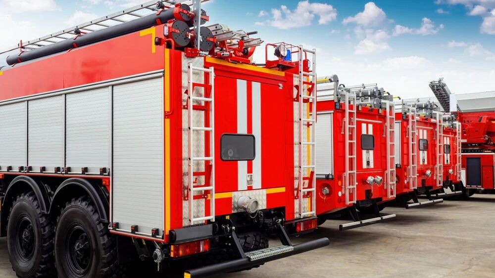    Фото: FOTOGRIN/Shutterstock/Fotodom