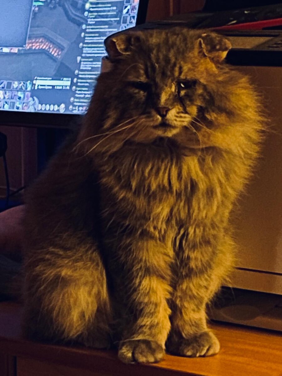 Наш главный геймер!