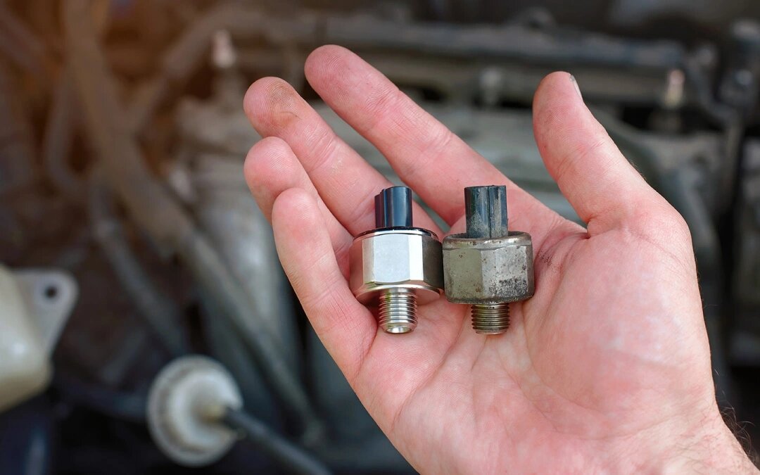 Фото: Tricky_Shark / Shutterstock / FOTODOM