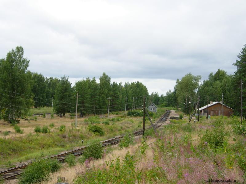 Панорама станции Прибылово. Фото: Д. Верёвкин, 09.08.2008 г.