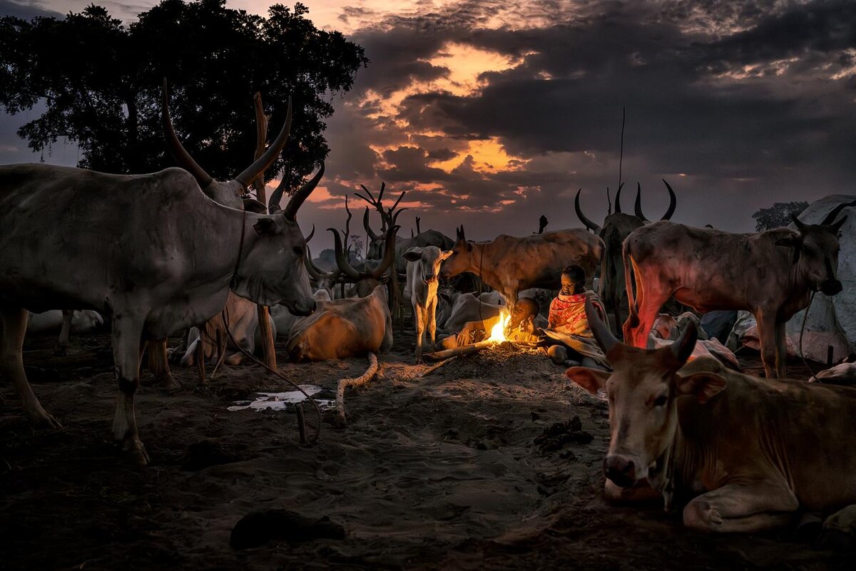 Золотая медаль FIAP (São Paulo)
Маурицио Трифилидис (Италия), Fires at dawn/Огни на рассвете