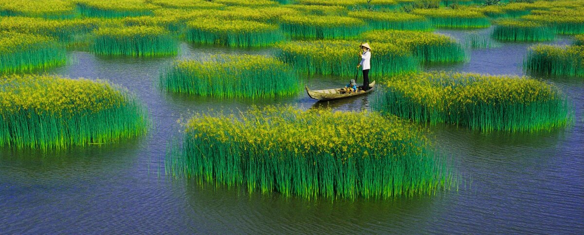 Золотая медаль FIAP (Amparo)
Куанг Винь Данг (Вьетнам), Qua dong nang/Сквозь солнце