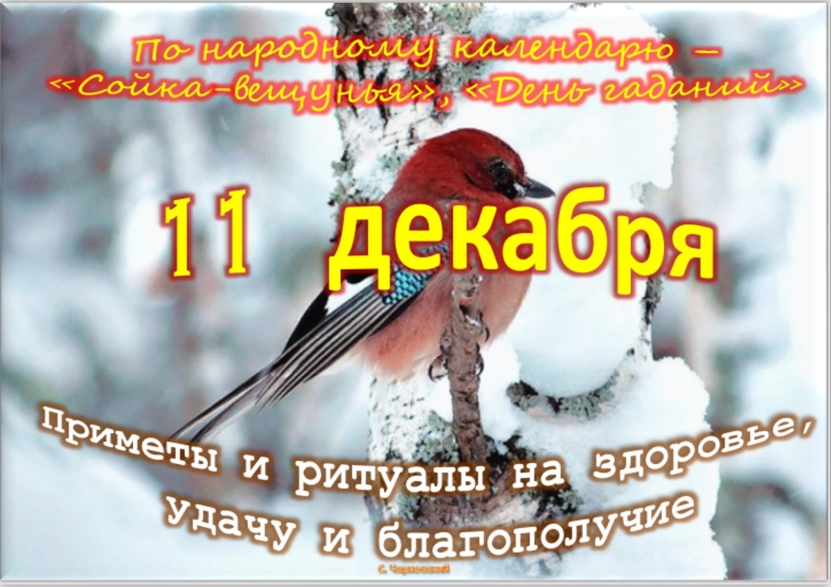 Встречаем новый день