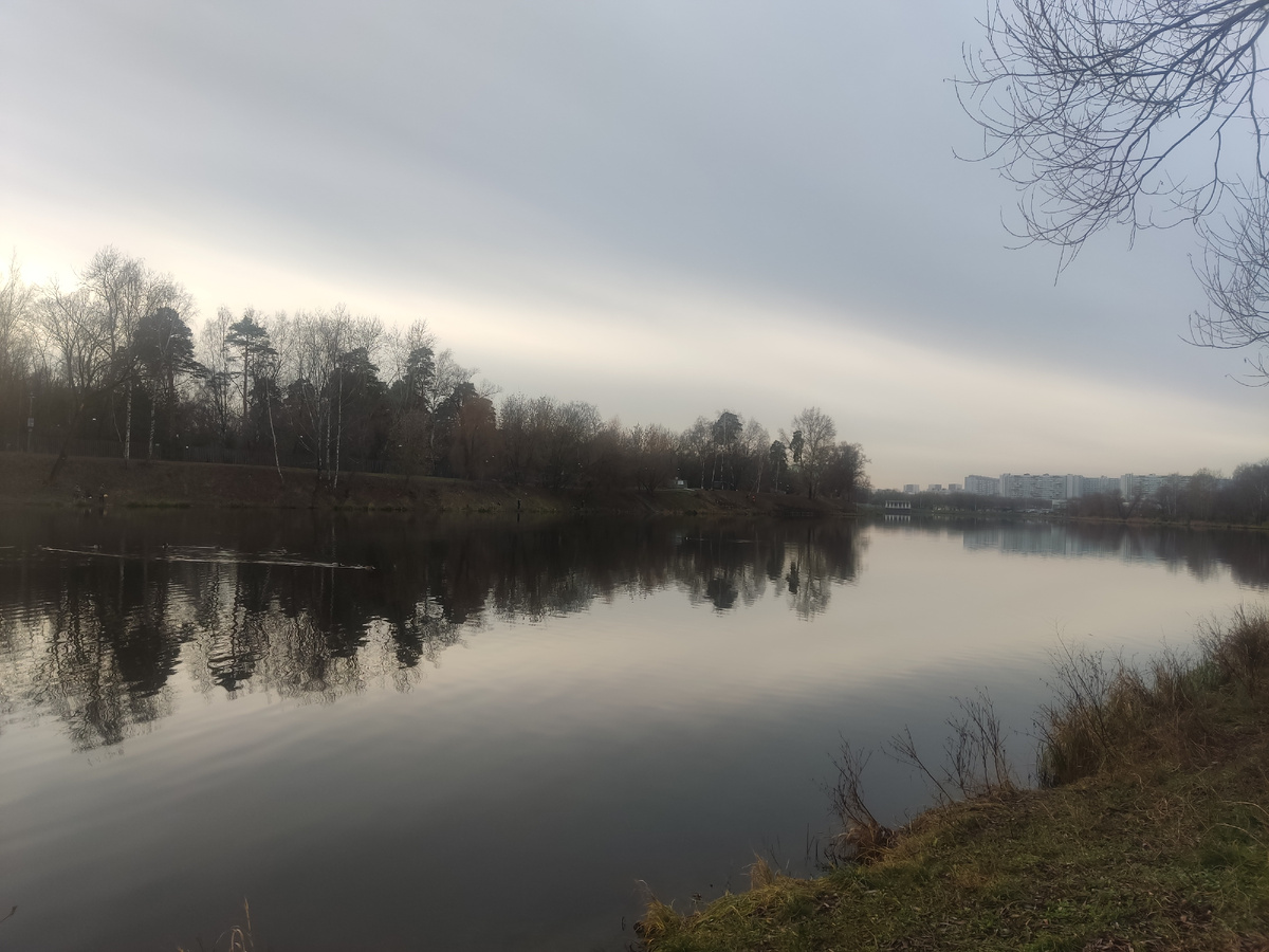 Пруд на самом деле большой