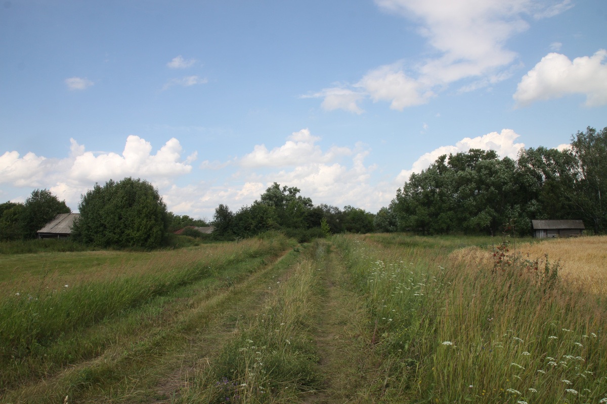 Въезд в деревню Тройни Краснослободского района республики Мордовия. 2016 г. Листайте галерею справа! Фото мои. 