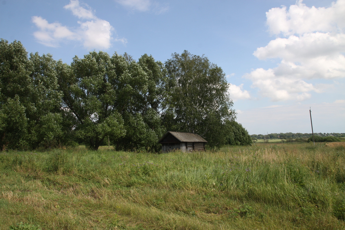 Деревня Тройни Краснослободского района республики Мордовия. 2016 г. 
