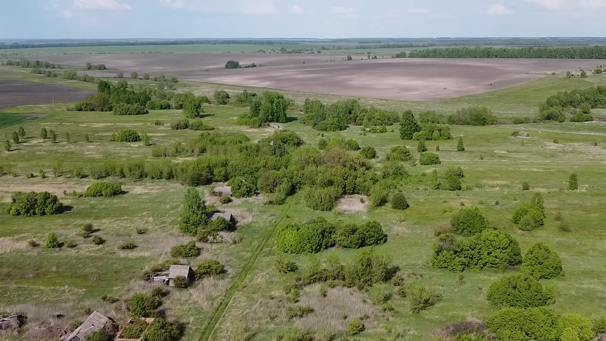Вид деревни Тройни. Скрин с видео канала "Заброшенные деревни России". Прогуляться виртуально по деревне с автором канала можно здесь https://youtu.be/GbzFdq1tjfk?si=Dr4kmLqrVIs4MZ7T