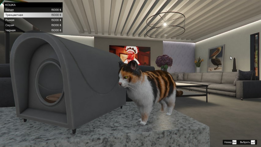 Домашняя кошка в GTA Online