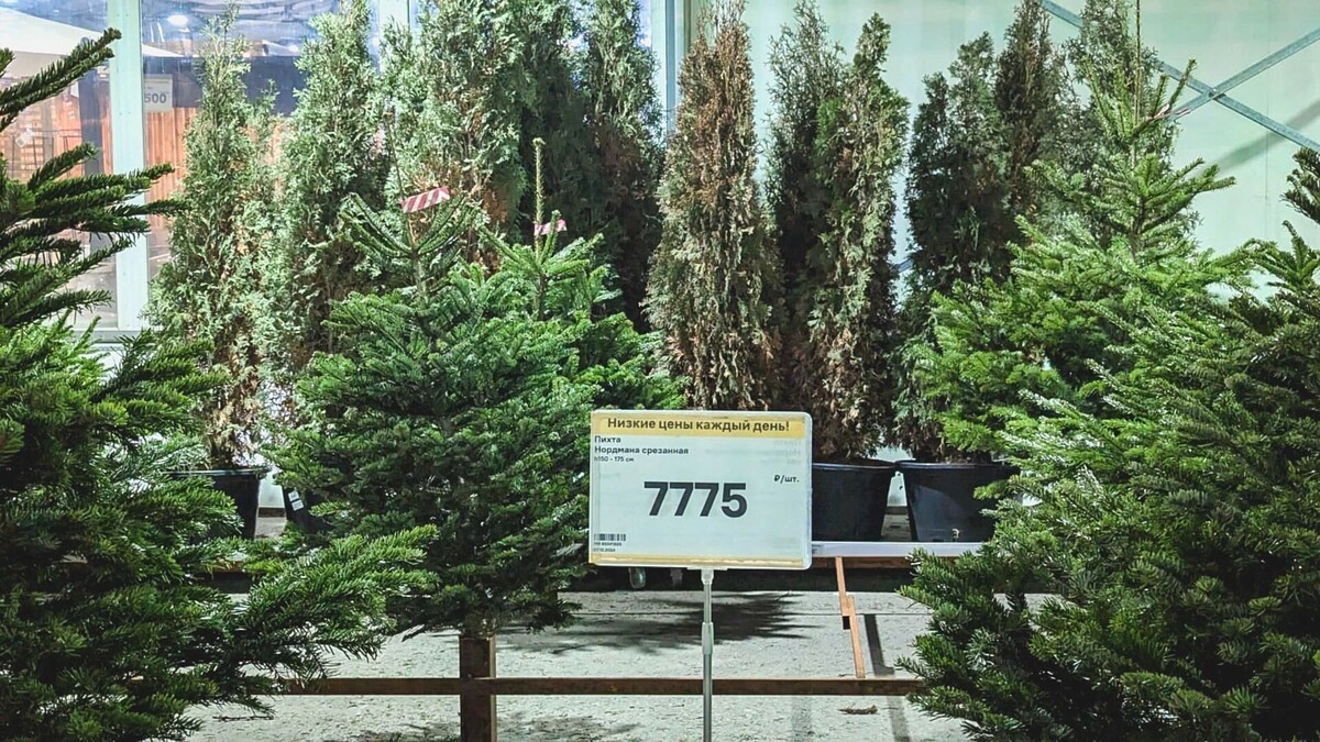     Источник: 1MI