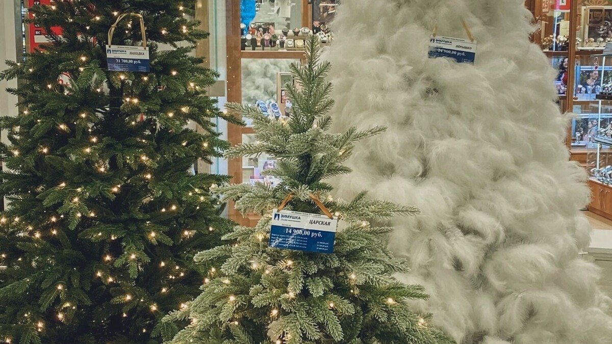     Источник: 1MI