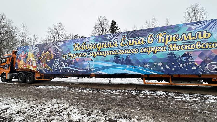    Фото: ИЗВЕСТИЯ/Виталий Боев