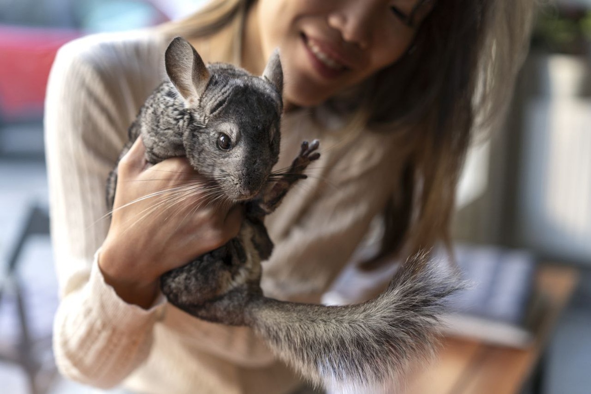 Изображение от freepik