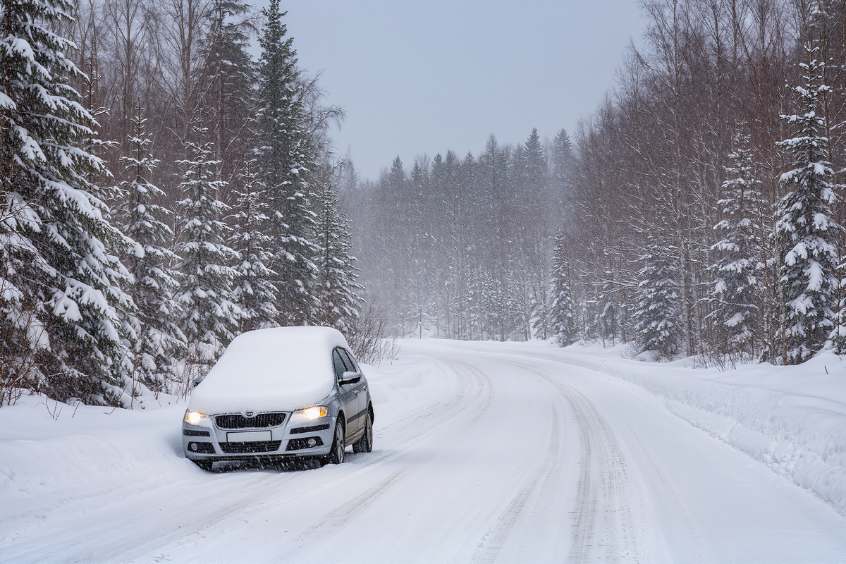 Фото из сети Интернет.