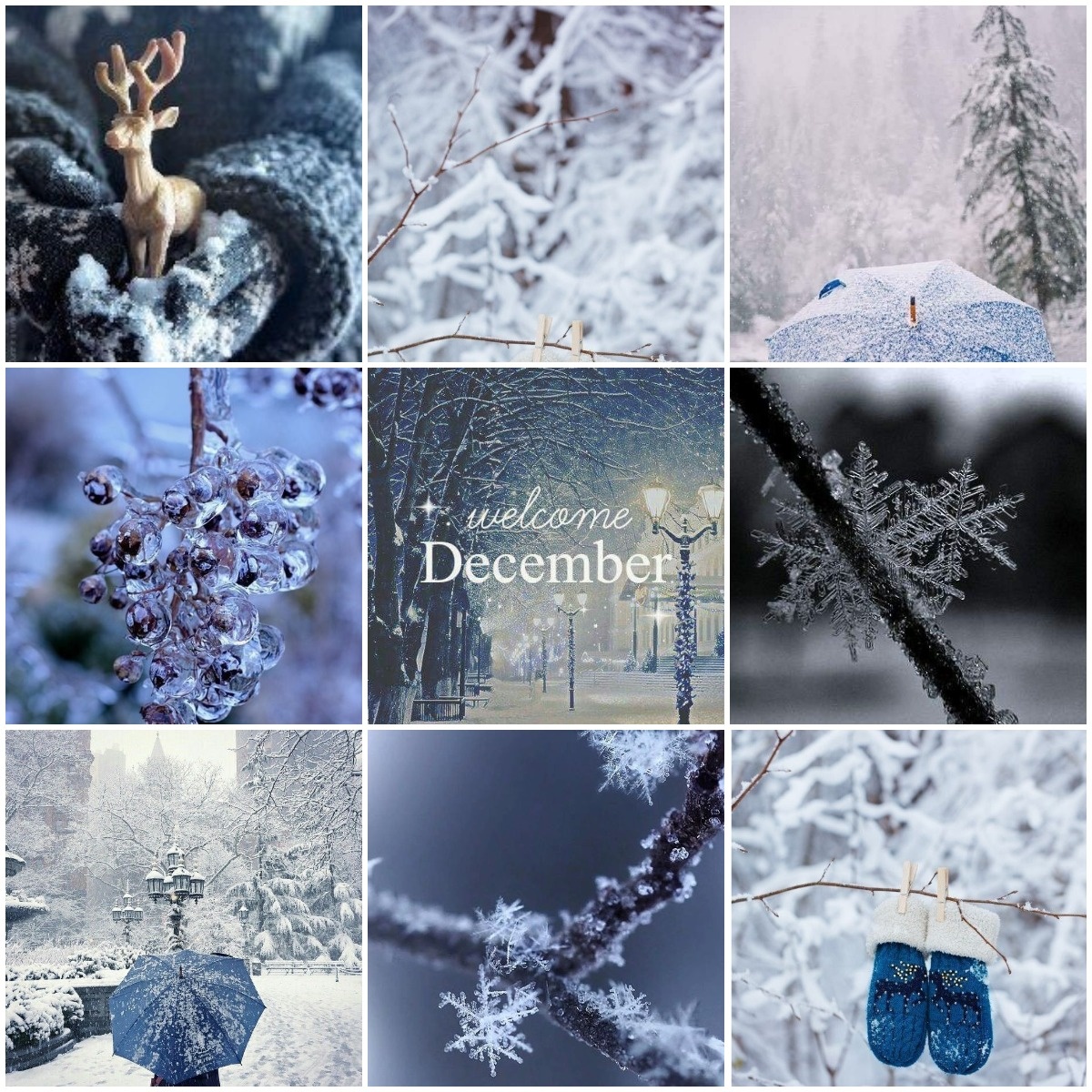 1. Декабрь. Монохром и немного цвета. Иллюстрации из открытых источников. Коллажи авторские.