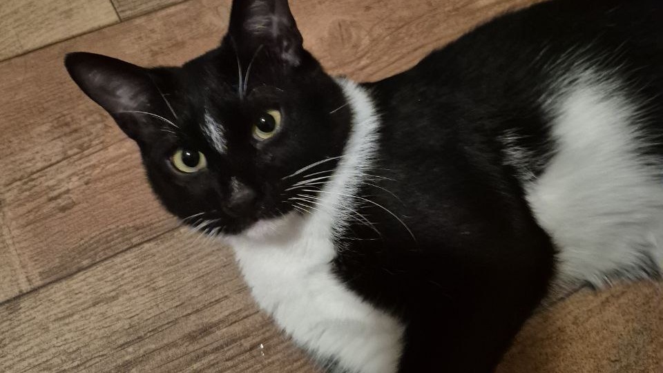 Многое уже случилось за его короткую жизнь. Но такое…