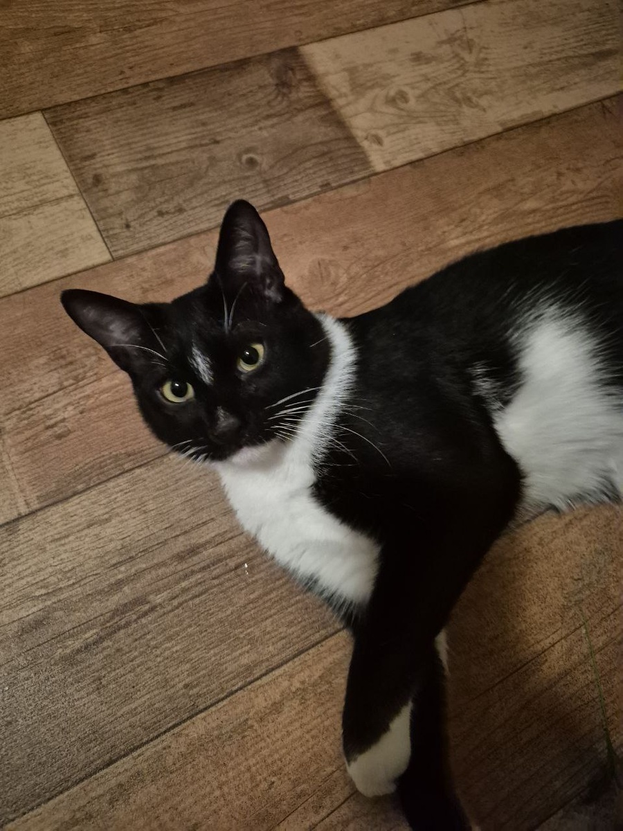 Это ж как мы дошли до жизни такой!