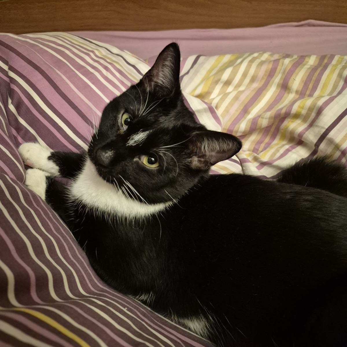 Расскажи, расскажи