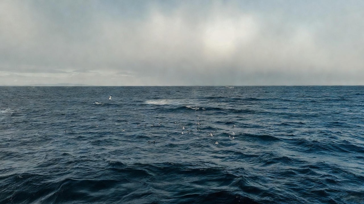 Антипод города Красноярск Россия где находится точка напротив на земном шаре и что она скрывает