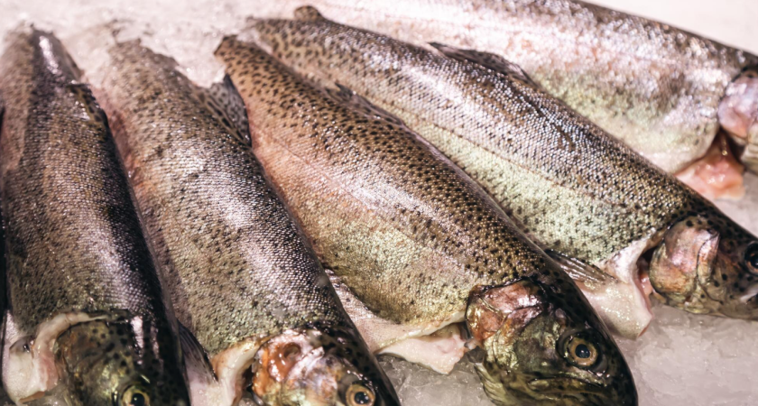    фото freepik.com