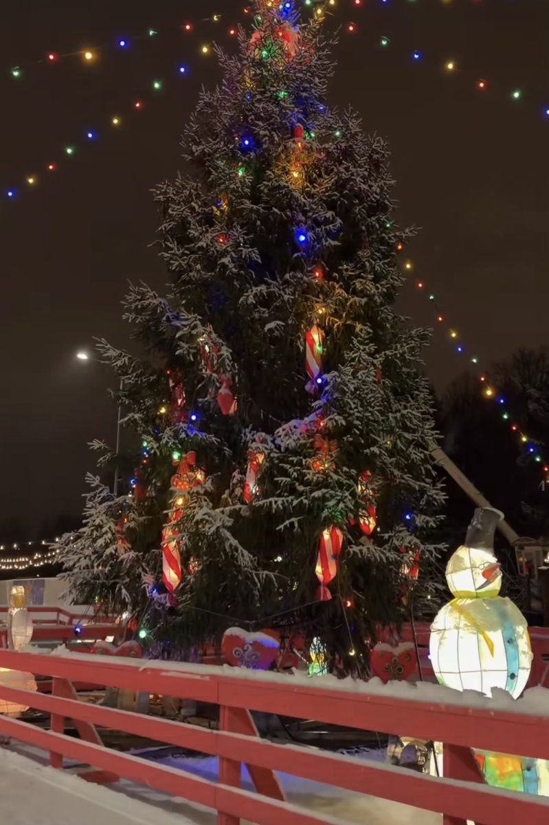 Южно-Приморский парк. Фото из открытых источников.