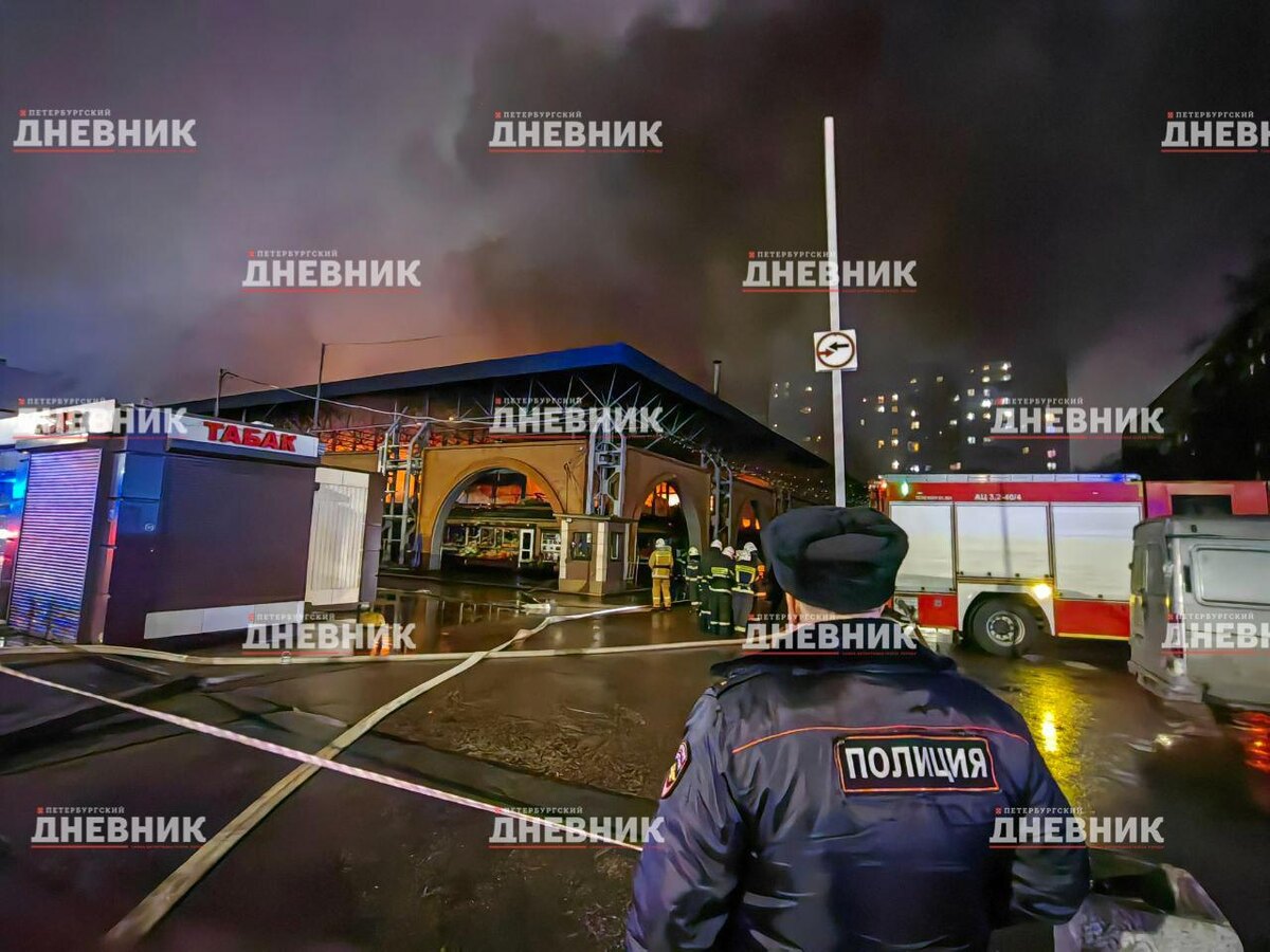 Фото: Александр Глуз / «Петербургский дневник»