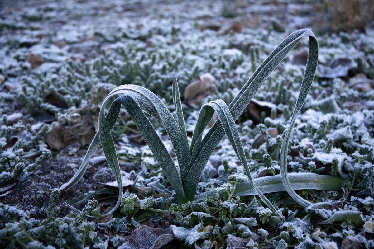 Автор фото:  Georgy_zuev