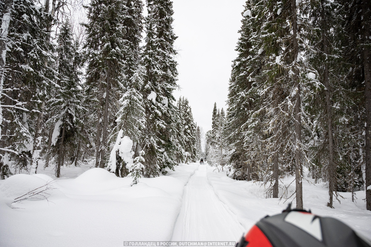 Бескрайняя тайга. Фото: Голландец в России