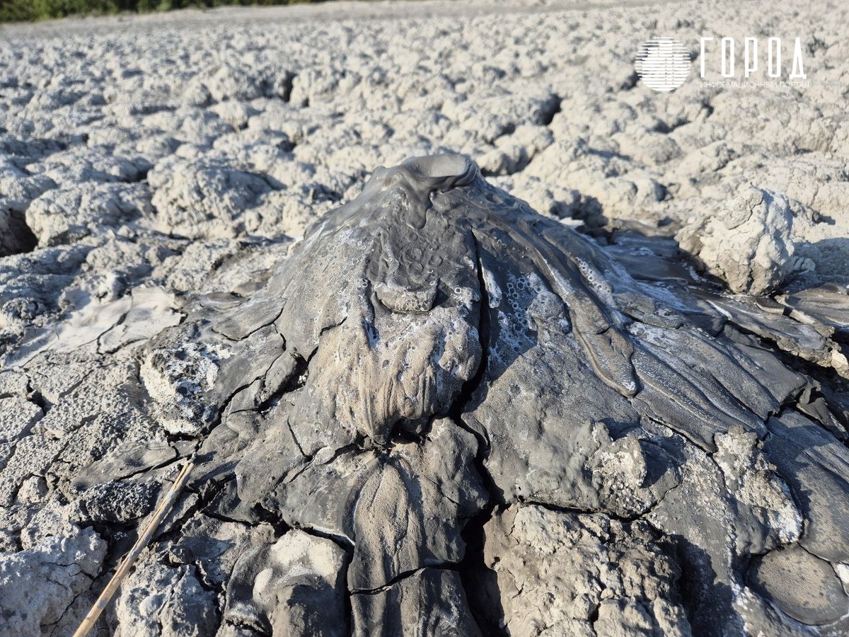 Фотографии: krd.gorod.space