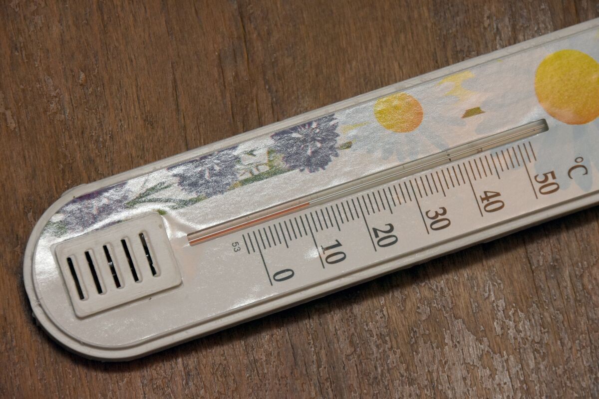    Фото: Александр Зинченко